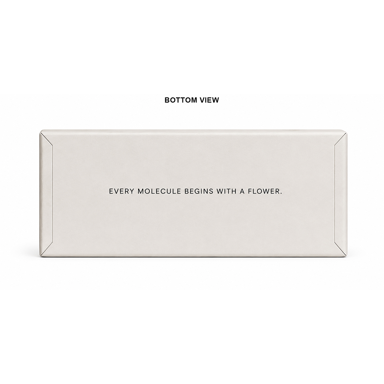 Discovery Archive — Bottom view