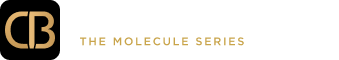 Chemical Brothers — The Molecule Series