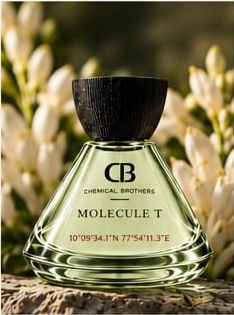 Molecule T