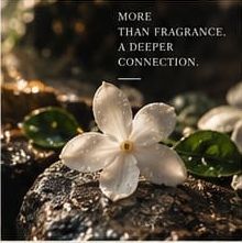 More than fragrance — a deeper connection